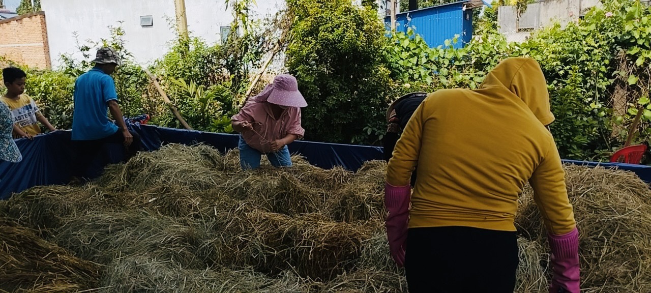 Khai giảng lớp trồng và khai thác nấm. 